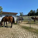 Bei Doerflingers Apartman Dettighofen