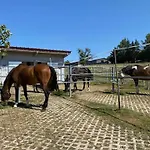 Bei Doerflingers Dettighofen (Waldshut)