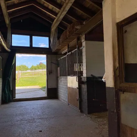 Bei Doerflingers شقة Dettighofen (Waldshut)