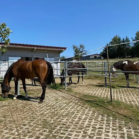 Bei Doerflingers شقة Dettighofen (Waldshut)