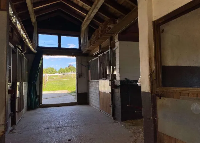 Bei Doerflingers Appartamento Dettighofen (Waldshut)