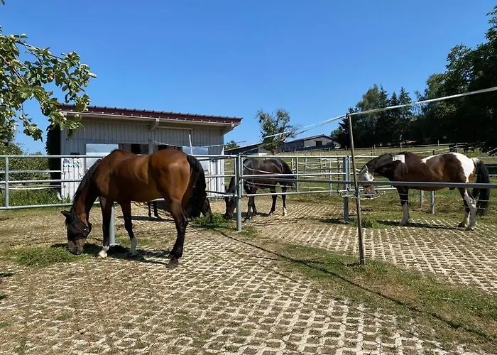 Bei Doerflingers Appartamento Dettighofen (Waldshut)